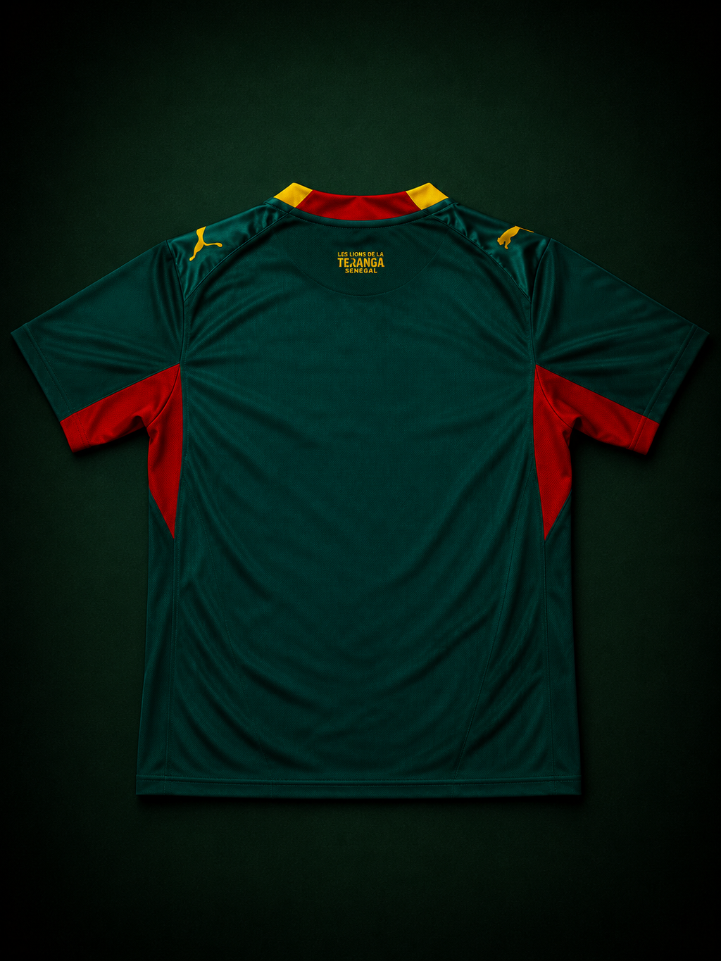Maillot Sénégal 🇸🇳